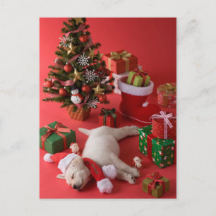 Golden Retriever Puppy and Christmas Holiday Postcard
