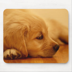Golden Retriever Puppy Antoine Melancholy I Mouse Mat
