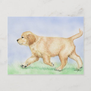 Golden Retriever Puppy Art Post Card