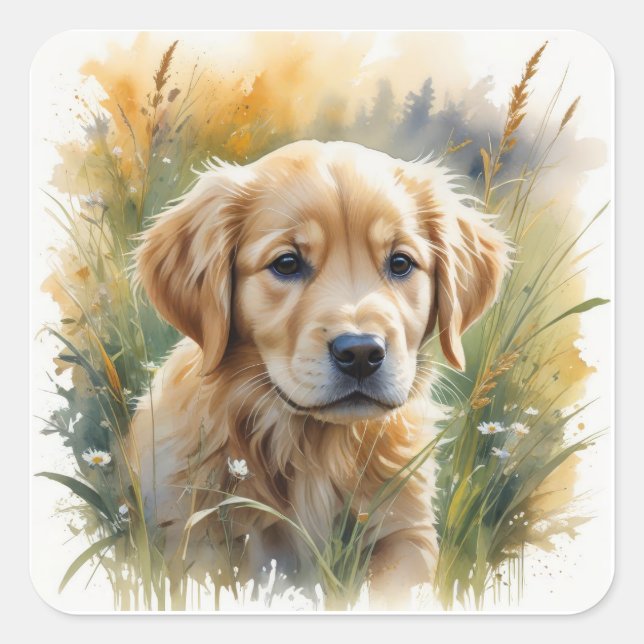Golden retriever puppy at sunset square sticker (Front)
