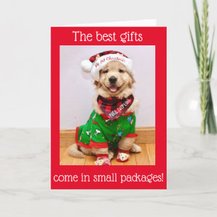 Golden Retriever Puppy Baby’s 1st Christmas  Holiday Card