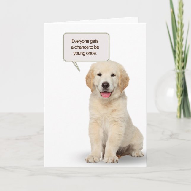 Golden Retriever Puppy Birthday Humour Card (Front)
