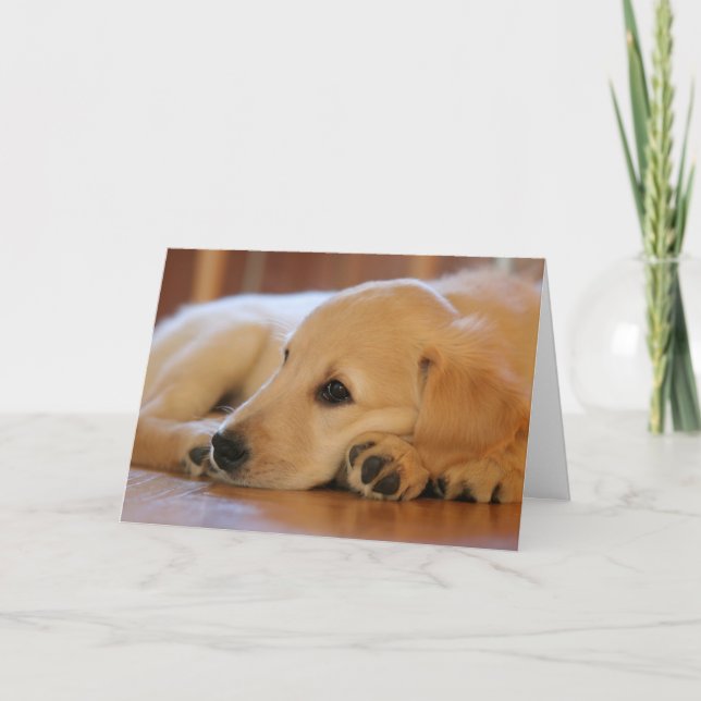 Golden Retriever Puppy Blank Inside Card (Front)