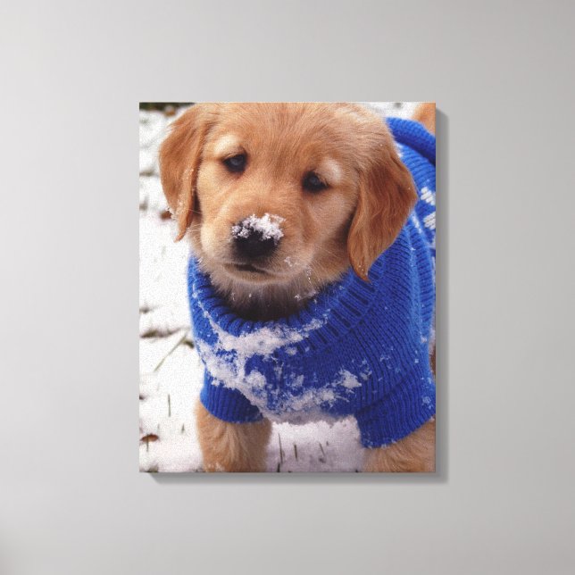 Golden Retriever Puppy Canvas Print (Front)