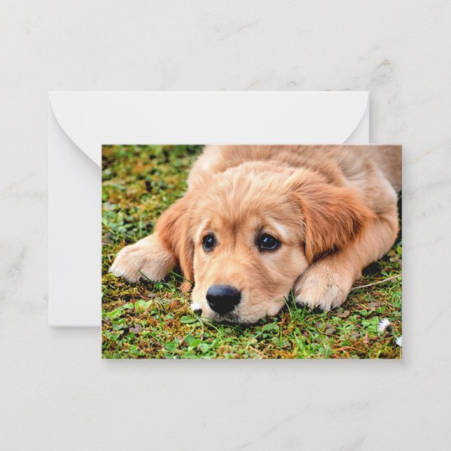 Golden Retriever Puppy Card (Front)