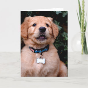 Golden Retriever Puppy Card