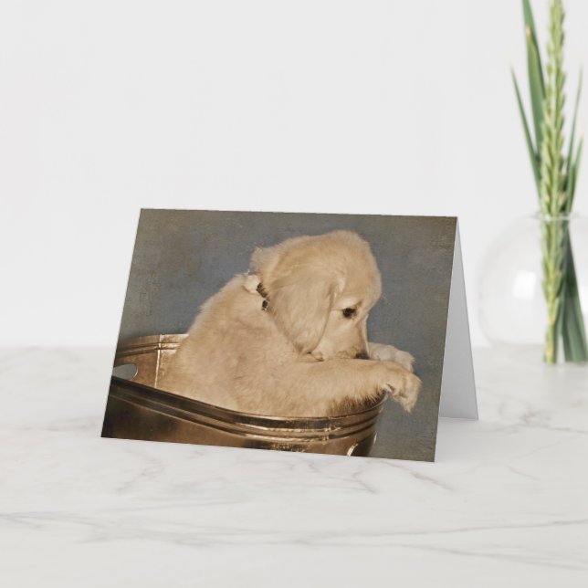 Golden Retriever puppy Card (Front)