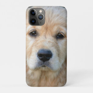 Golden Retriever Puppy iPhone 11 Pro Case