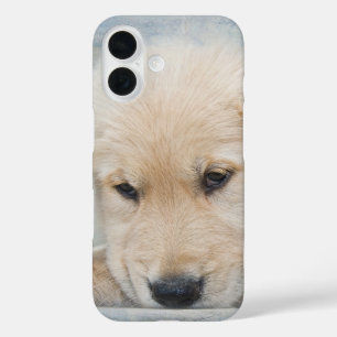 Golden Retriever Puppy iPhone 16 Case