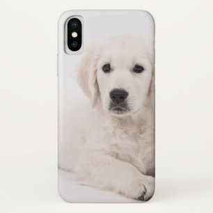 Golden Retriever Puppy iPhone X Case