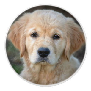 Golden Retriever Puppy Ceramic Knob