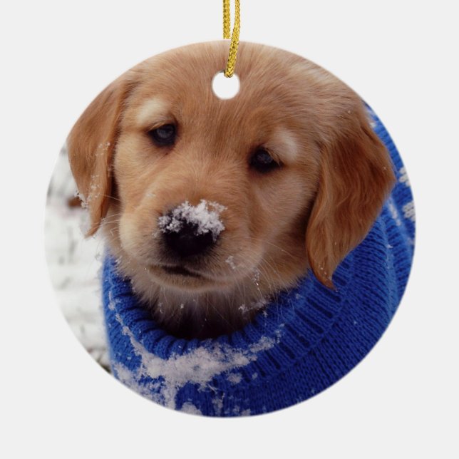 Golden Retriever Puppy Ceramic Tree Decoration (Front)
