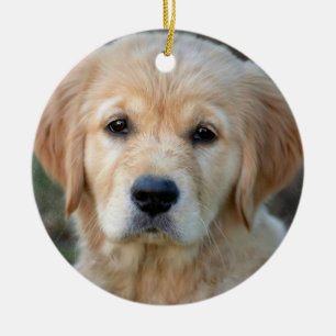Golden Retriever Puppy Ceramic Tree Decoration