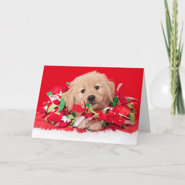 Golden Retriever Puppy Christmas Card (Front)