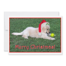 Golden Retriever Puppy Christmas Card Flat
