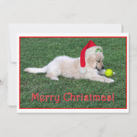 Golden Retriever Puppy Christmas Card Flat