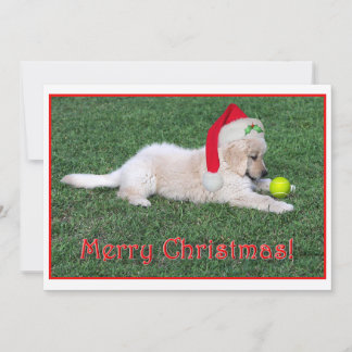 Golden Retriever Puppy Christmas Card Flat
