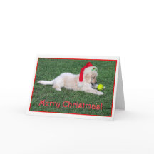 Golden Retriever Puppy Christmas Card Folded