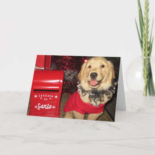 Golden Retriever Puppy Christmas Delivery  Holiday Card (Front)