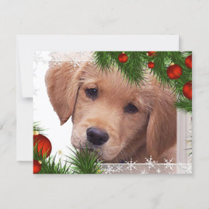 Golden Retriever Puppy Christmas Holiday Card
