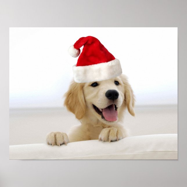 Golden Retriever Puppy Christmas Poster (Front)