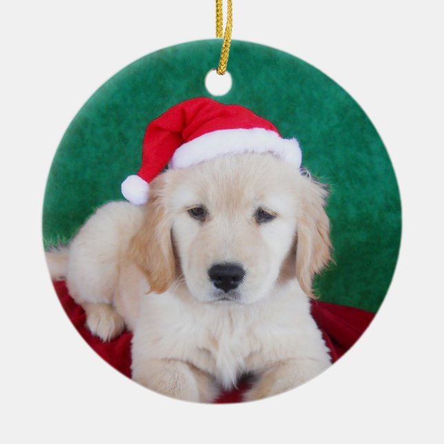 Golden Retriever Puppy Christmas Tree Ornament (Front)
