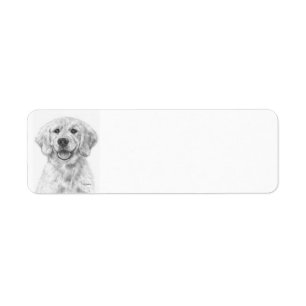 Golden Retriever Puppy Cody