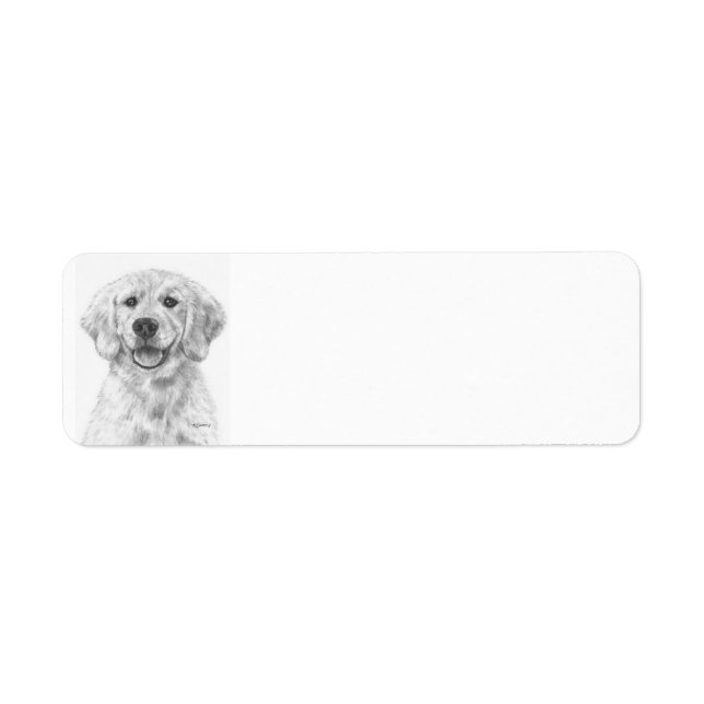 Golden Retriever Puppy Cody (Front)