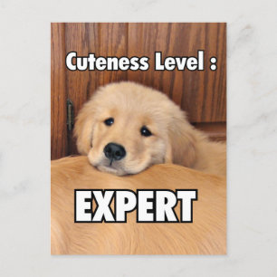 Golden Retriever Puppy Cuteness Level Postcard