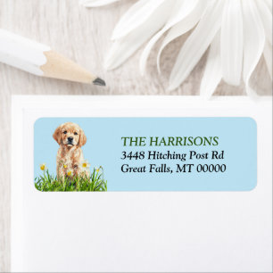 Golden Retriever Puppy Daffodil Garden