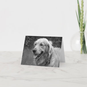 Golden Retriever Puppy Dog  Blank Card