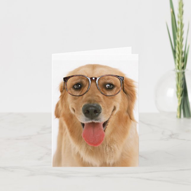 Golden Retriever Puppy Dog Blank Card (Front)