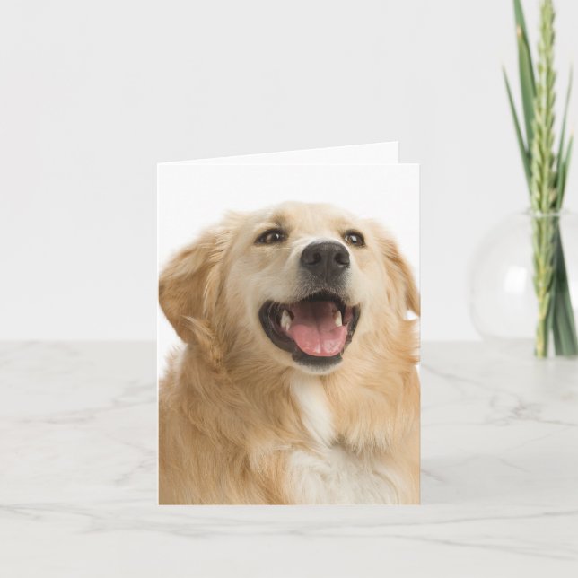 Golden Retriever Puppy Dog Blank Greeting Notecard (Front)