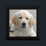 Golden Retriever puppy dog cute beautiful photo Gift Box<br><div class="desc">Beautiful photo of a cute golden retriever dog trinket box,   gift box,  jewellery box.  great gift idea for dog lovers</div>