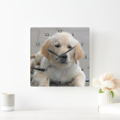 Golden Retriever puppy dog cute beautiful photo Square Wall Clock (Home)