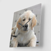 Golden Retriever puppy dog cute beautiful photo Square Wall Clock (Angle)