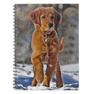 Golden Retriever Puppy Dog in the snow Notebook