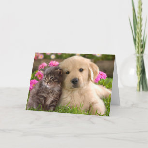 Golden Retriever Puppy Dog & Kitten Love Card