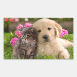 Golden Retriever Puppy Dog & Kitten  Sticker