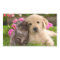 Golden Retriever Puppy Dog & Kitten  Sticker