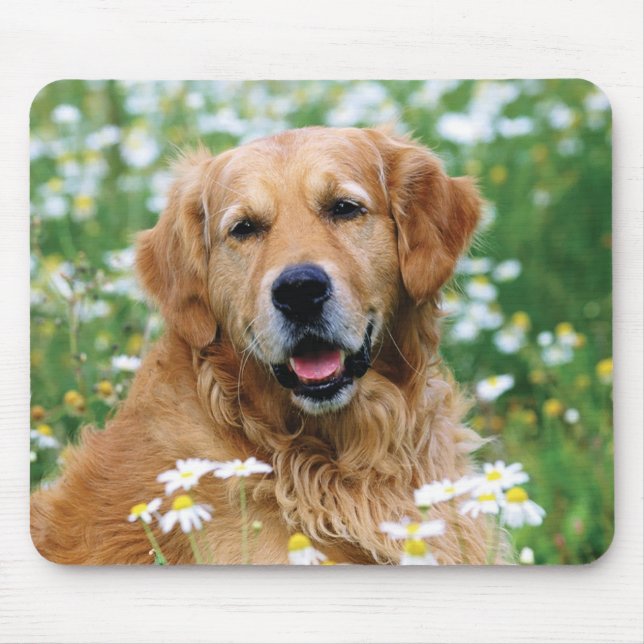 Golden Retriever Puppy Dog Mouse Mat (Front)