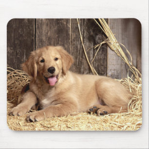 Golden Retriever Puppy Dog Rustic Barn Mouse Mat