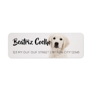 Golden Retriever Puppy Dog Themed Decorative Plain