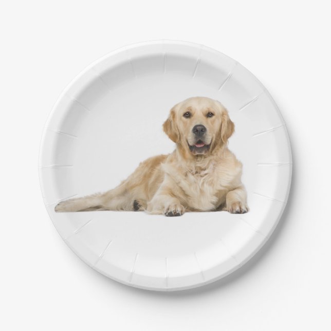 Golden Retriever Puppy Dog Wedding Party Paper Plate (Front)