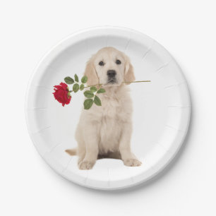 Golden Retriever Puppy Dog Wedding Party Paper Plate