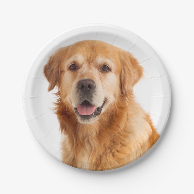 Golden Retriever Puppy Dog Wedding Party Paper Plate (Front)