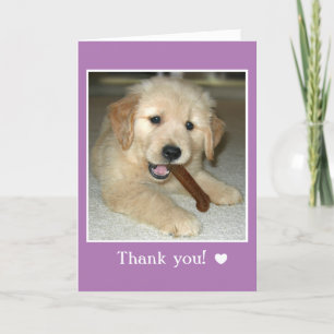 Golden Retriever Puppy Dog With Bone Thank You