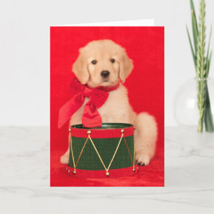 Golden Retriever Puppy Drummer Boy Holiday Card