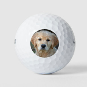 Golden Retriever Puppy Golf Balls