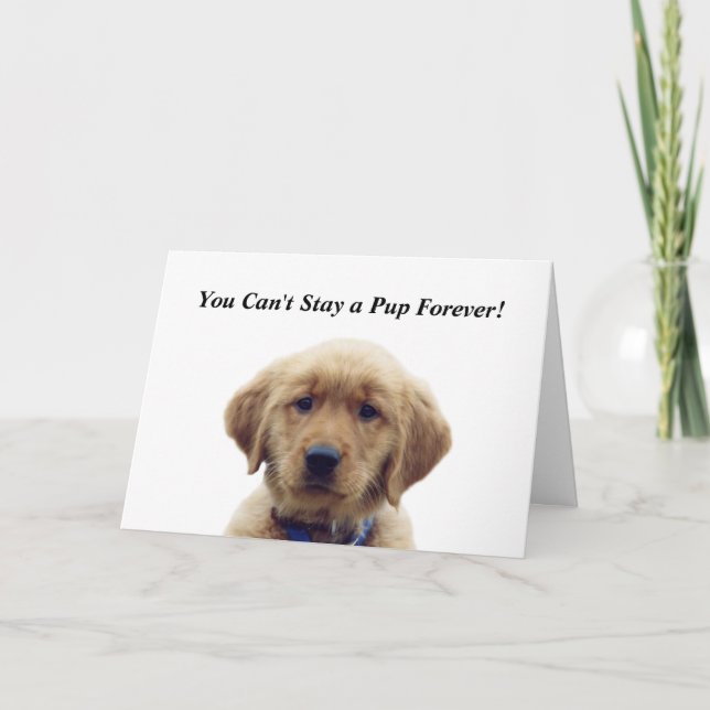 Golden Retriever Puppy Graduation Card (Front)